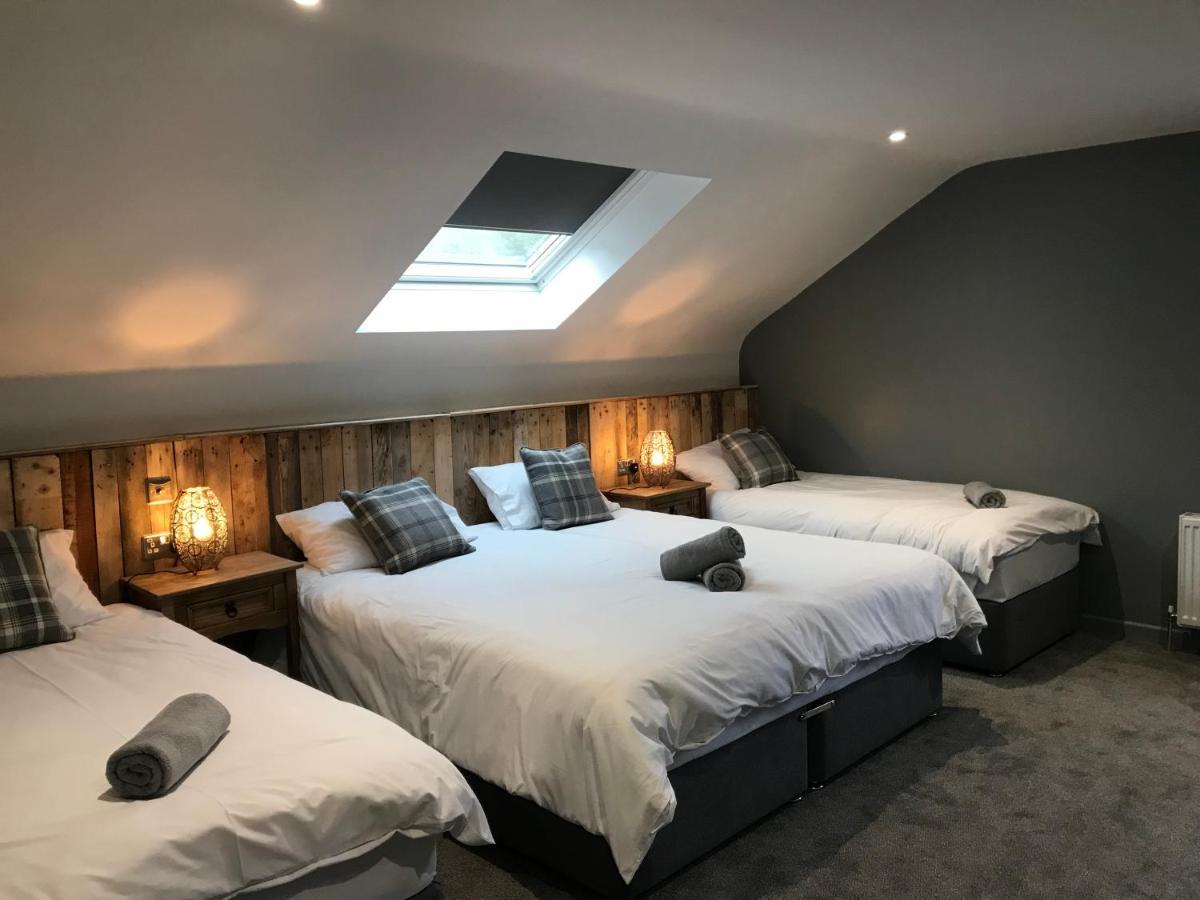 Rostrevor Mountain Lodge - Glamping Pods - Revive Sauna & Hot Tubs Extérieur photo