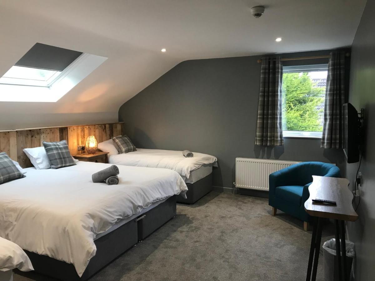 Rostrevor Mountain Lodge - Glamping Pods - Revive Sauna & Hot Tubs Extérieur photo